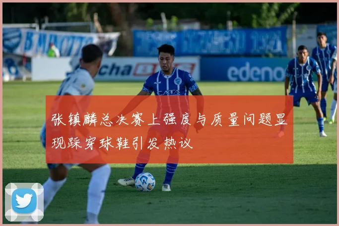 张镇麟总决赛上强度与质量问题显现踩穿球鞋引发热议