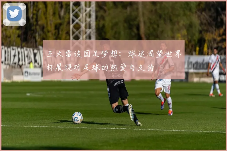 王大雷谈国足梦想：球迷渴望世界杯展现对足球的热爱与支持